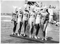 Nudists 1950s Porn
